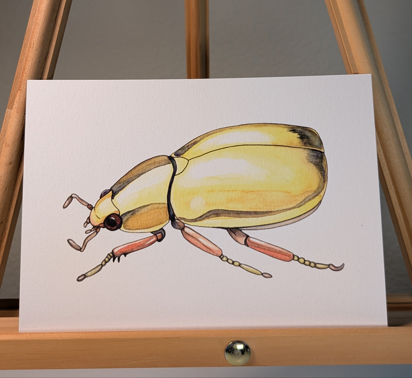 Print of a yellow jewel scarab beetle