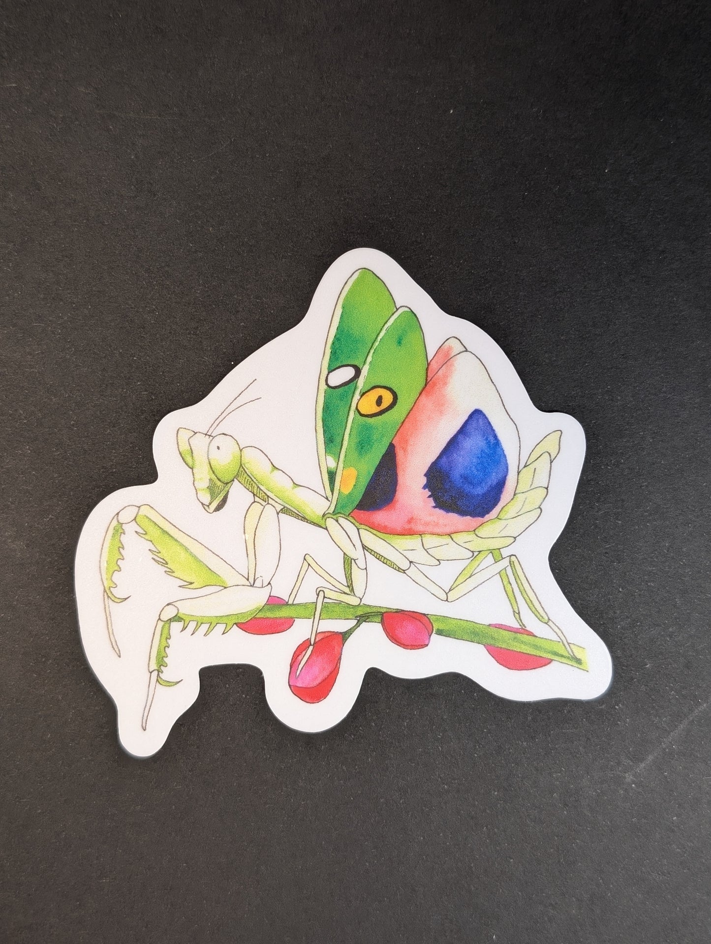 Colorful sticker of a praying mantis with a leaf on a black background
