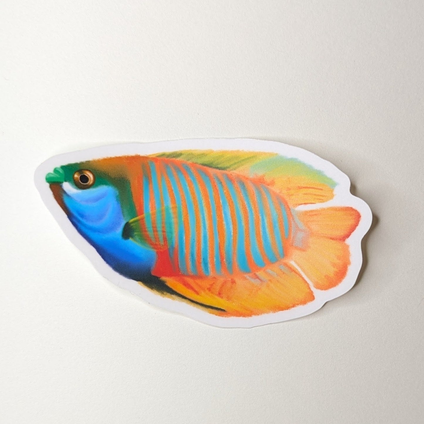 Dwarf Gourami illustration. A fish with vertical blue and orange stripes.