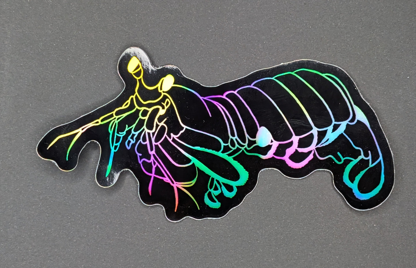 Holographic peacock mantis shrimp sticker on black background