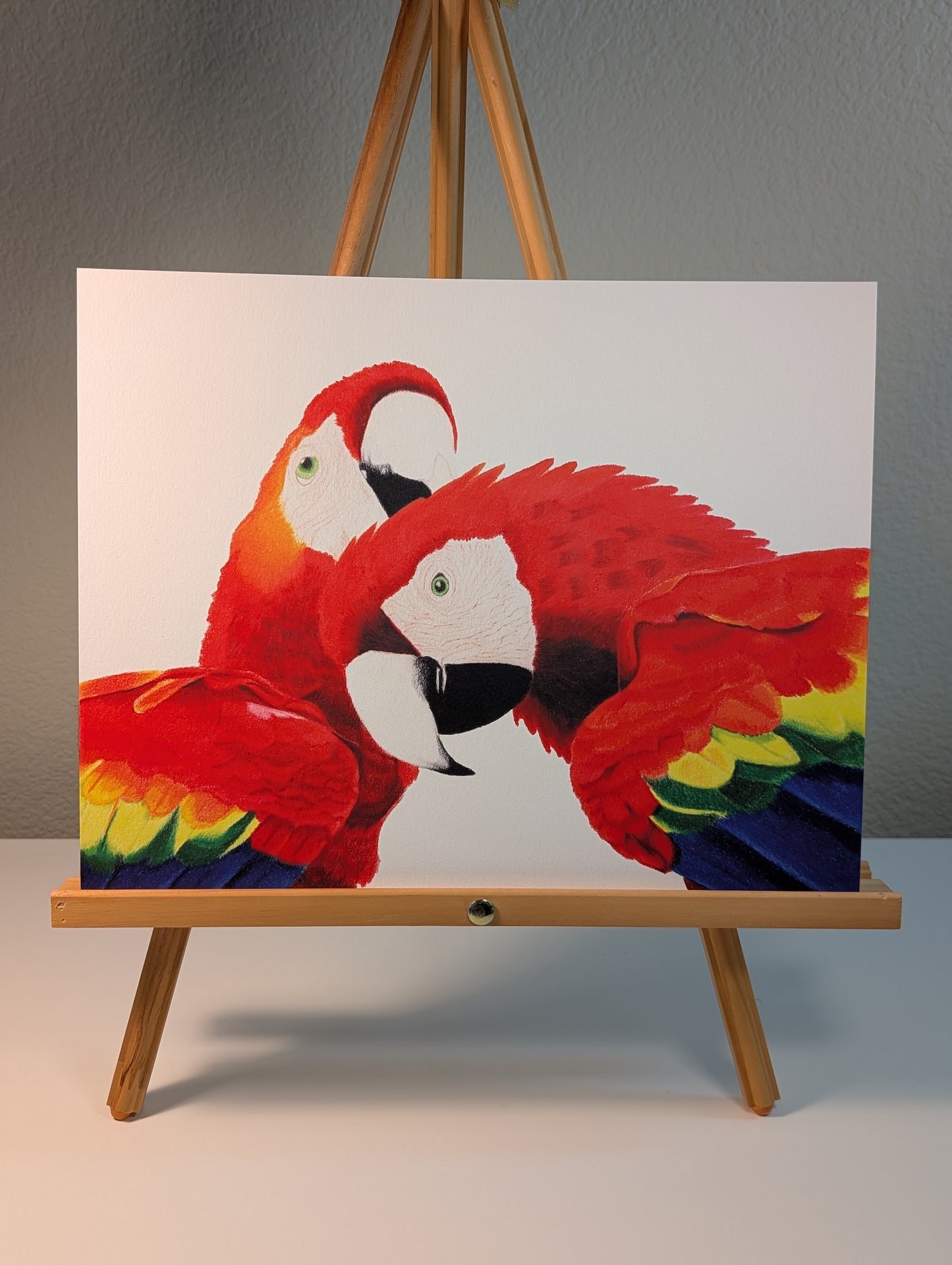 Print of two scarlet macaws