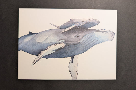 Art print of humpback whale and calf.
