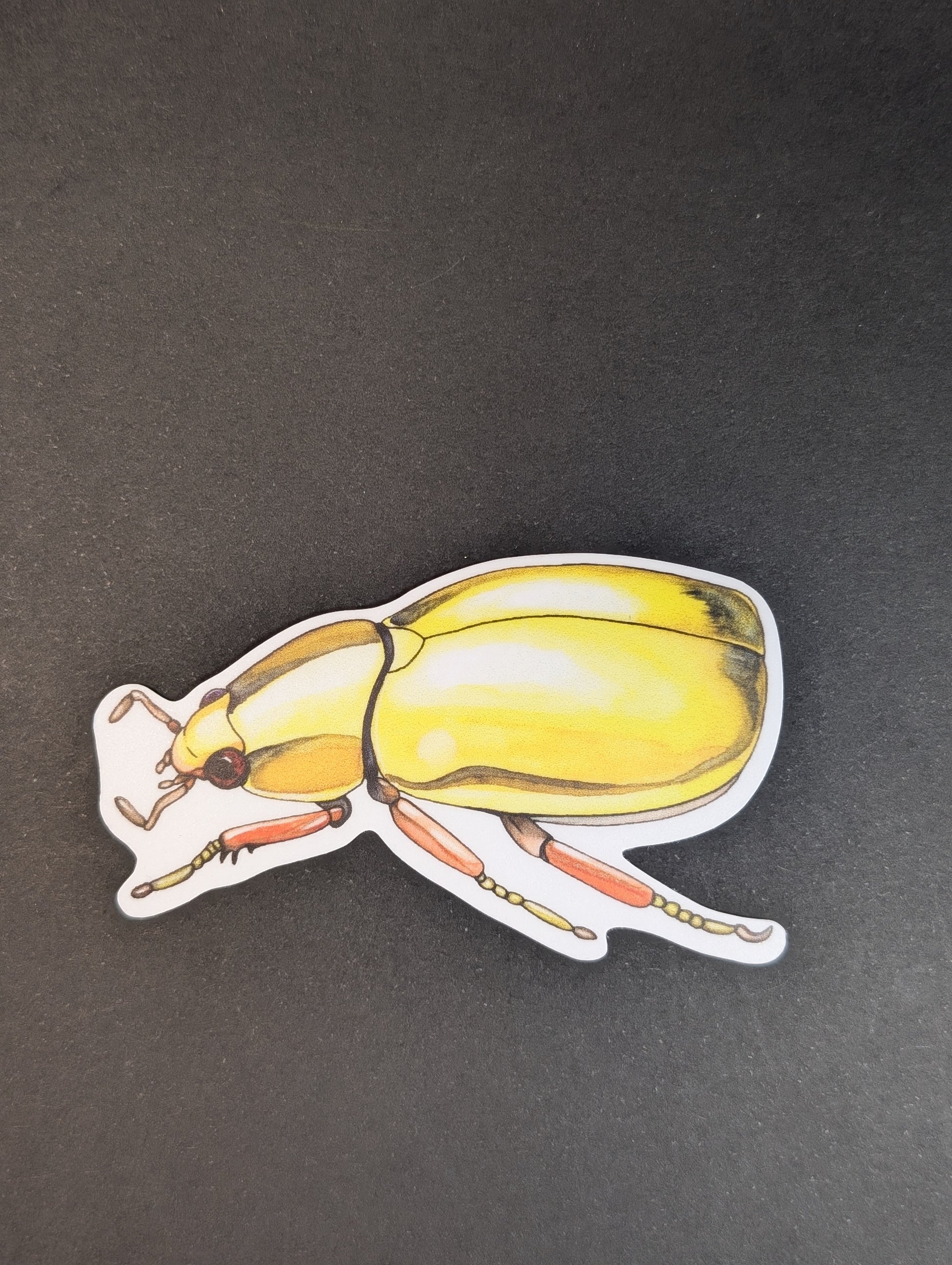Yellow beetle sticker on a black background
