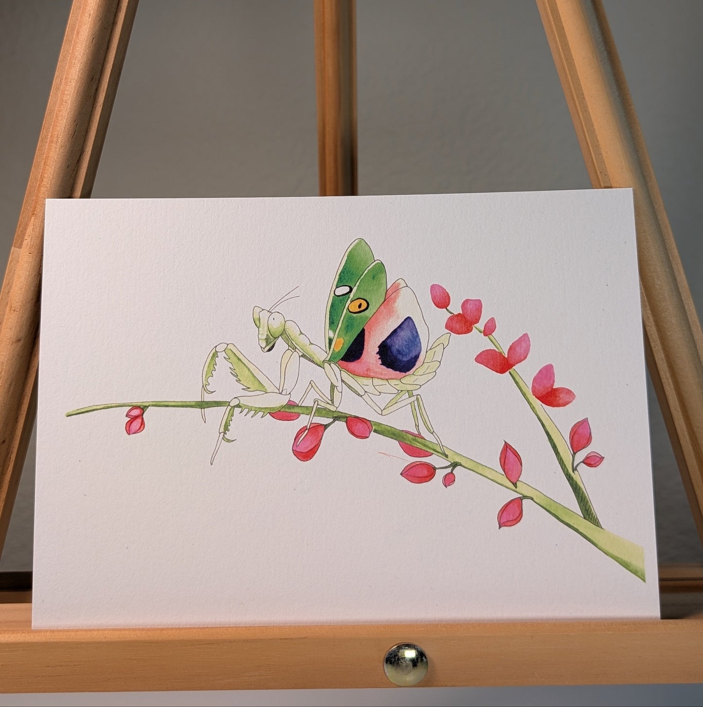 Print of a jewel flower mantis on a branch with red flower buds. The mantis is green with pink wings showing