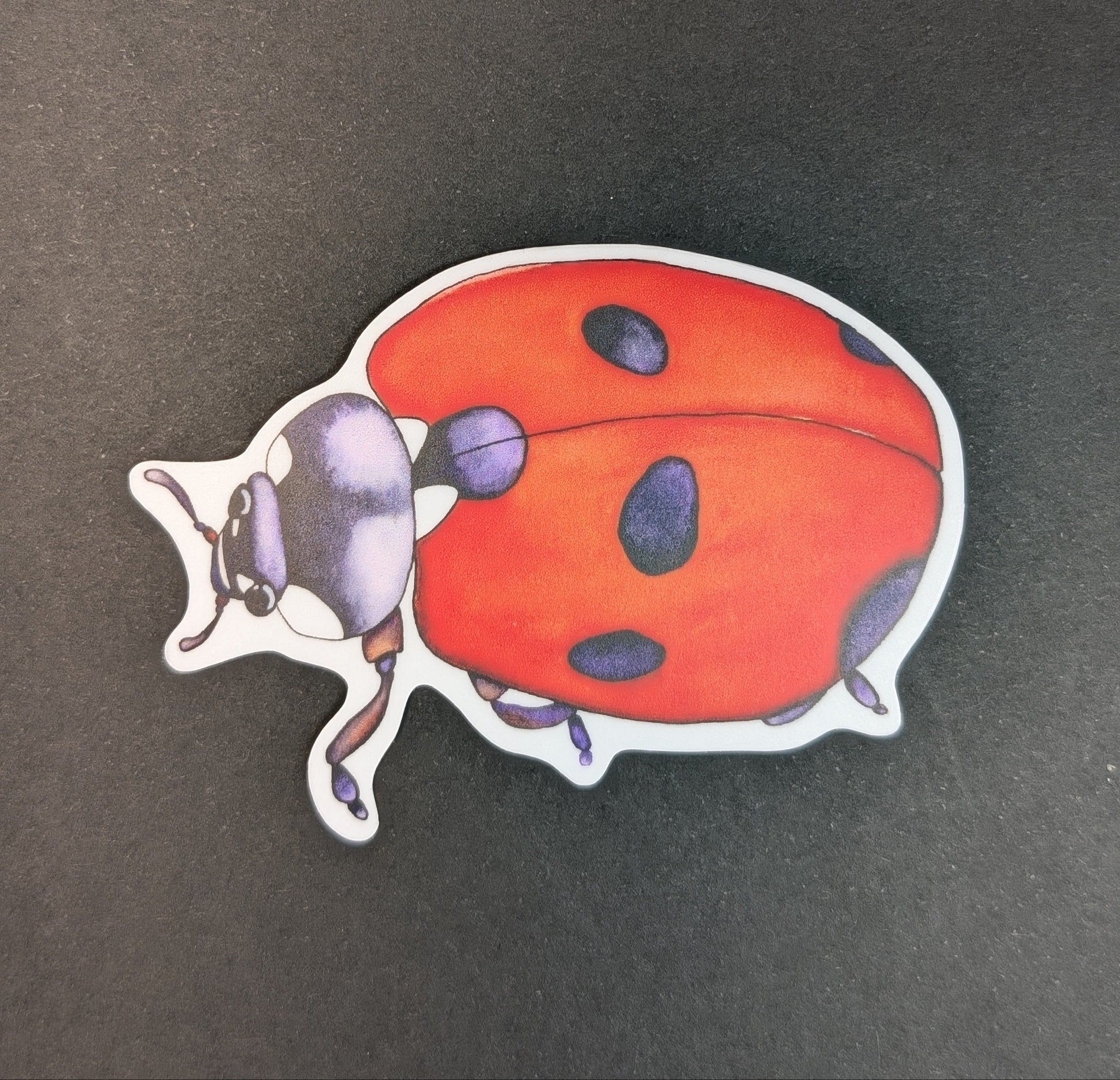Sticker of a ladybug on a dark background