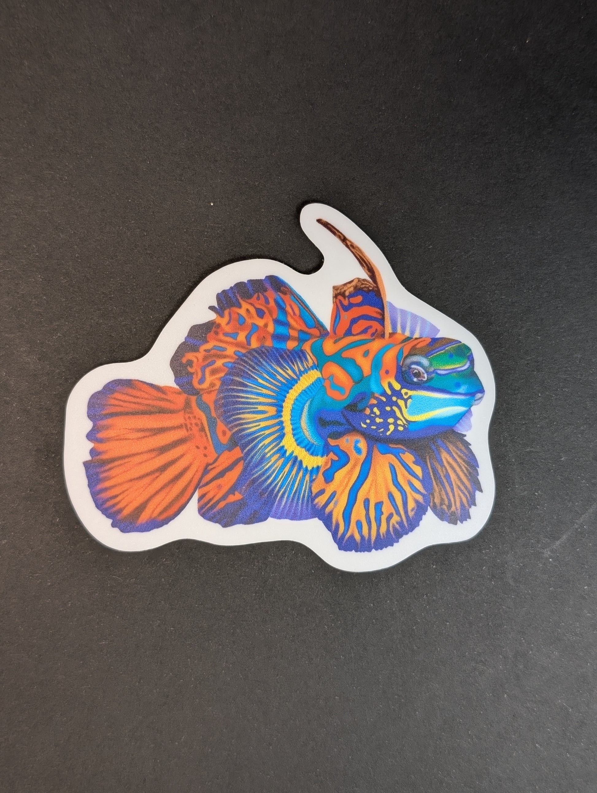 Colorful fish-shaped sticker on a black background