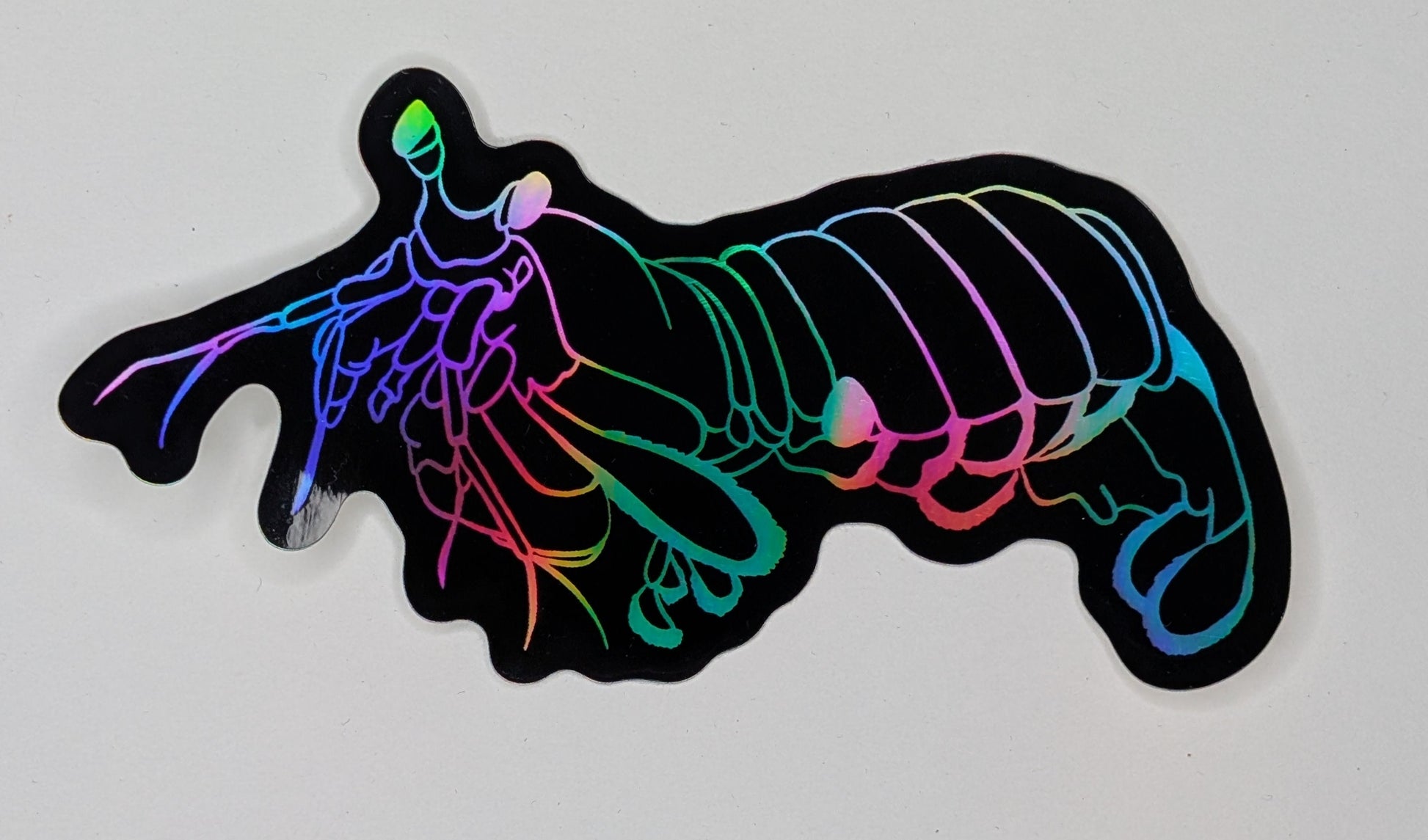 Holographic peacock mantis shrimp sticker on white background