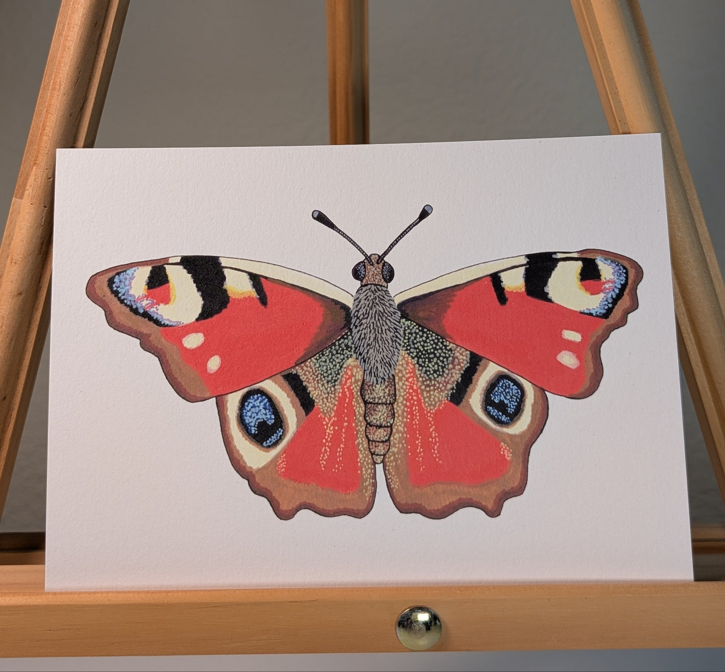 Print of a red peacock butterfly