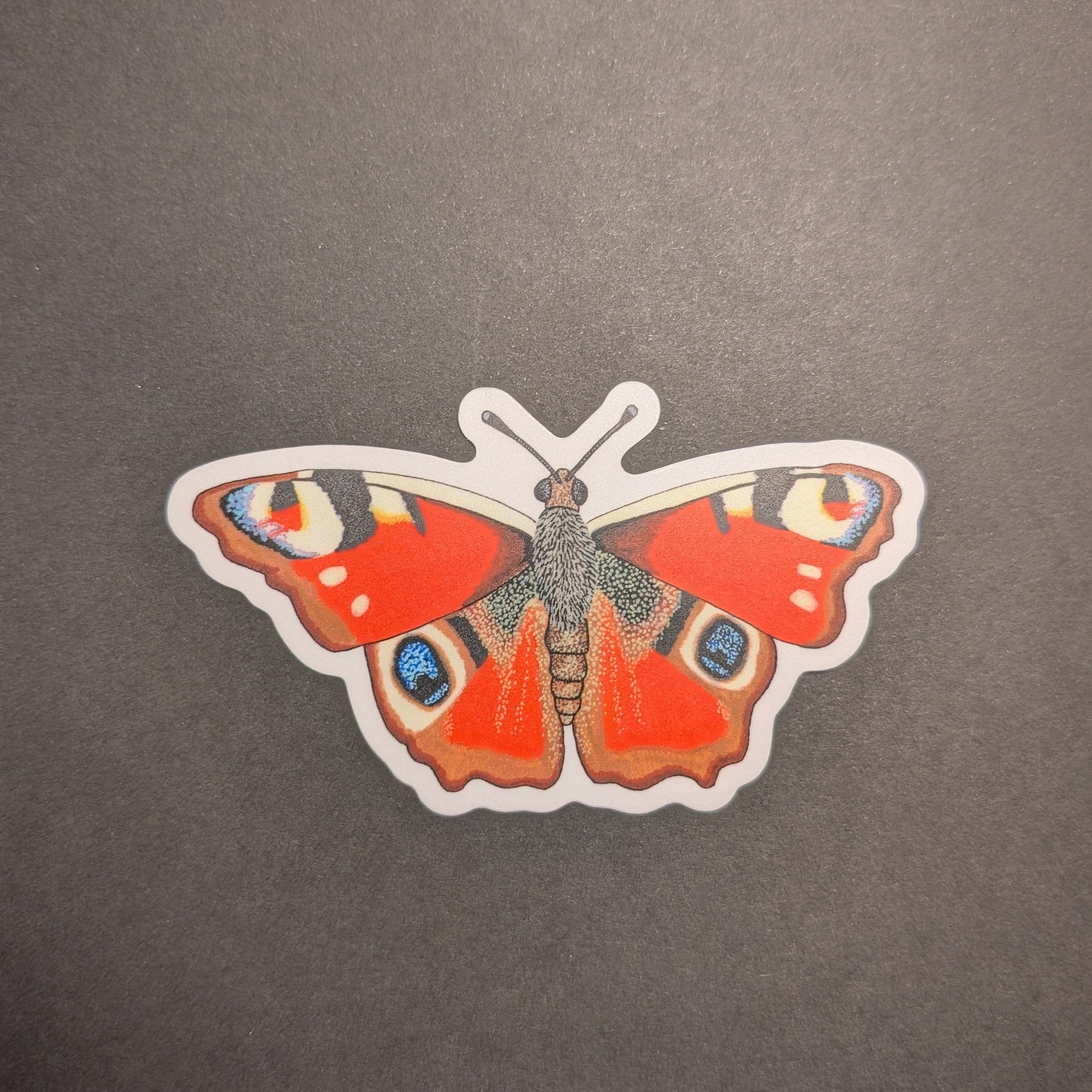 Peacock butterfly sticker on black background