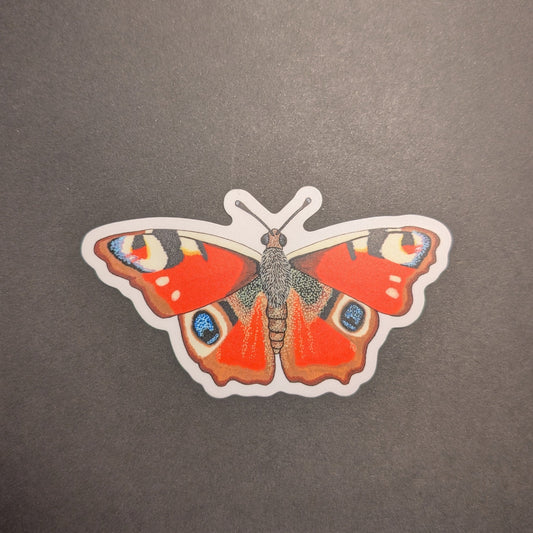 Peacock butterfly sticker on black background