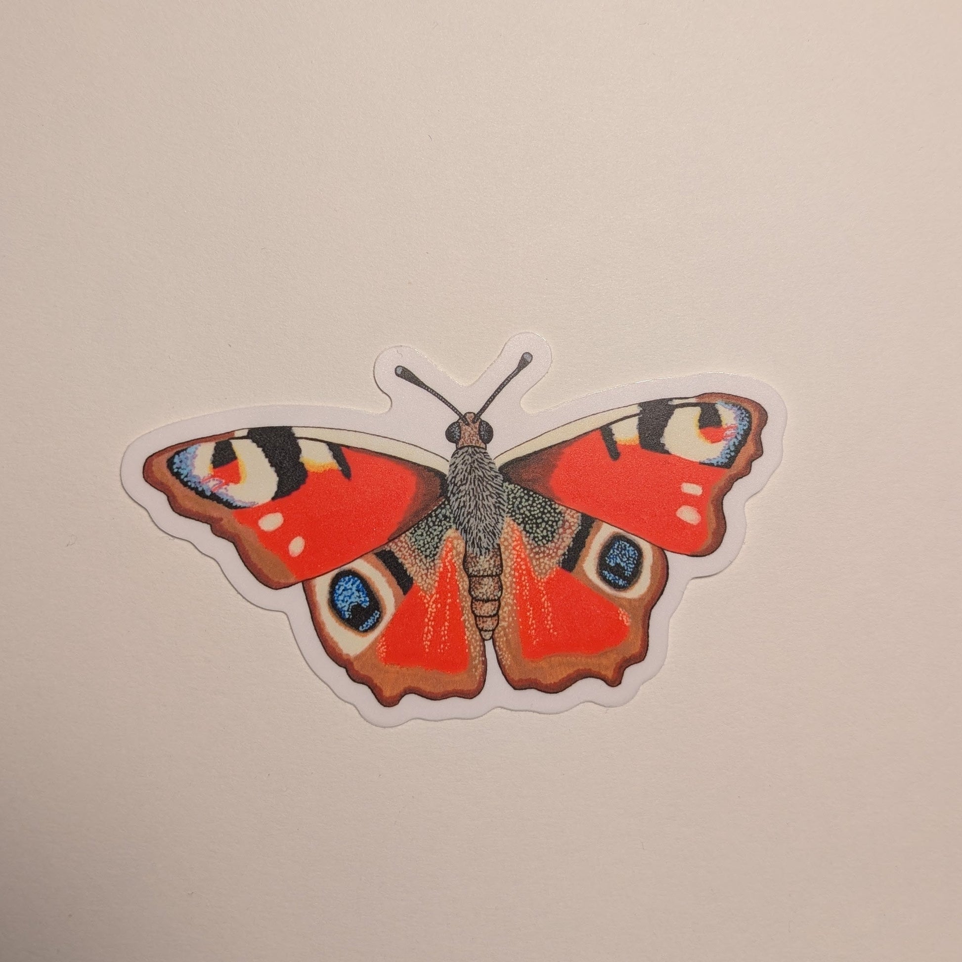 Peacock butterfly sticker on white background