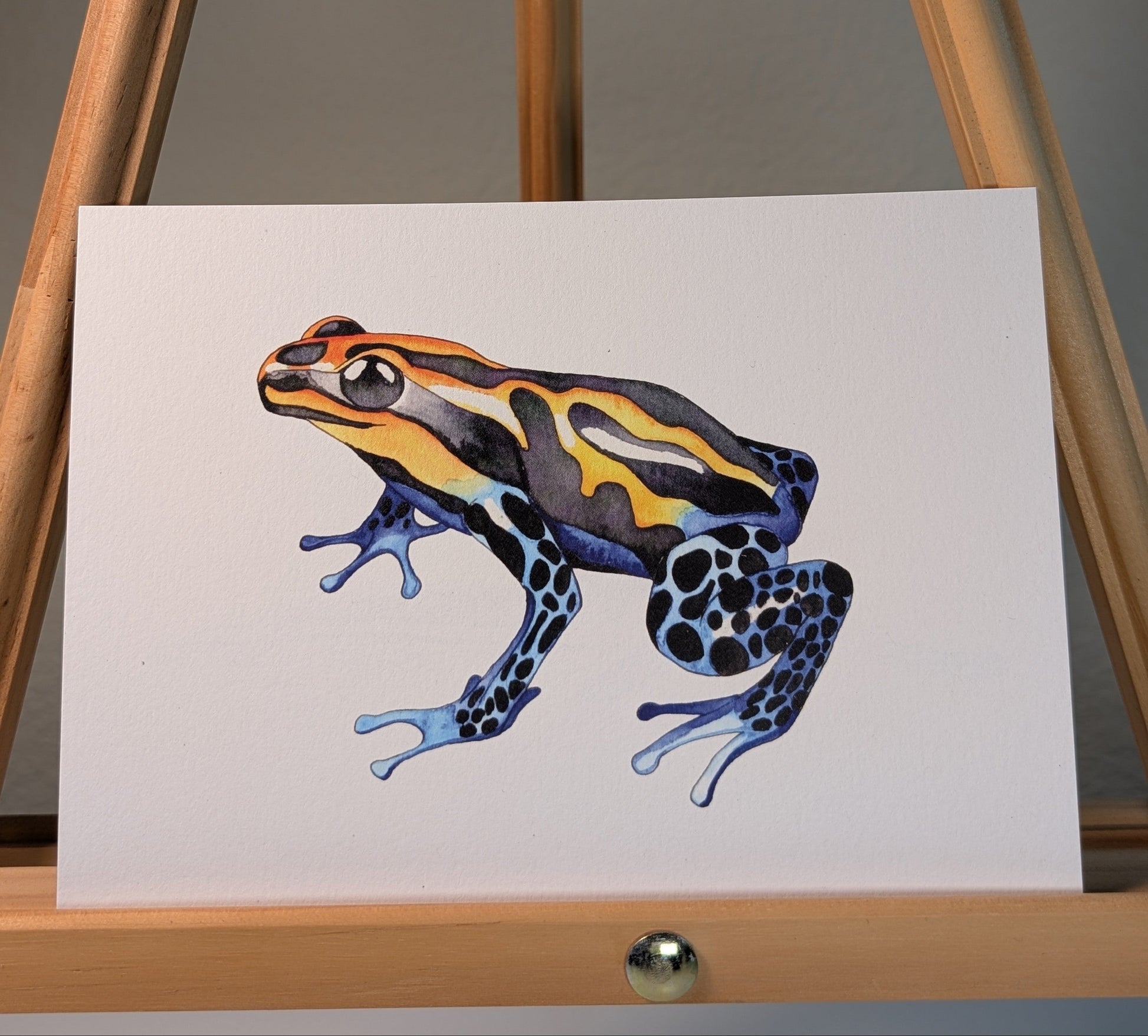 Print of a blue and yellow poison dart frog