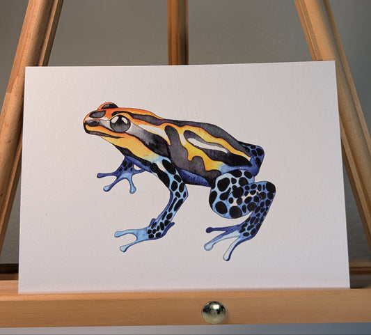 Print of a blue and yellow poison dart frog