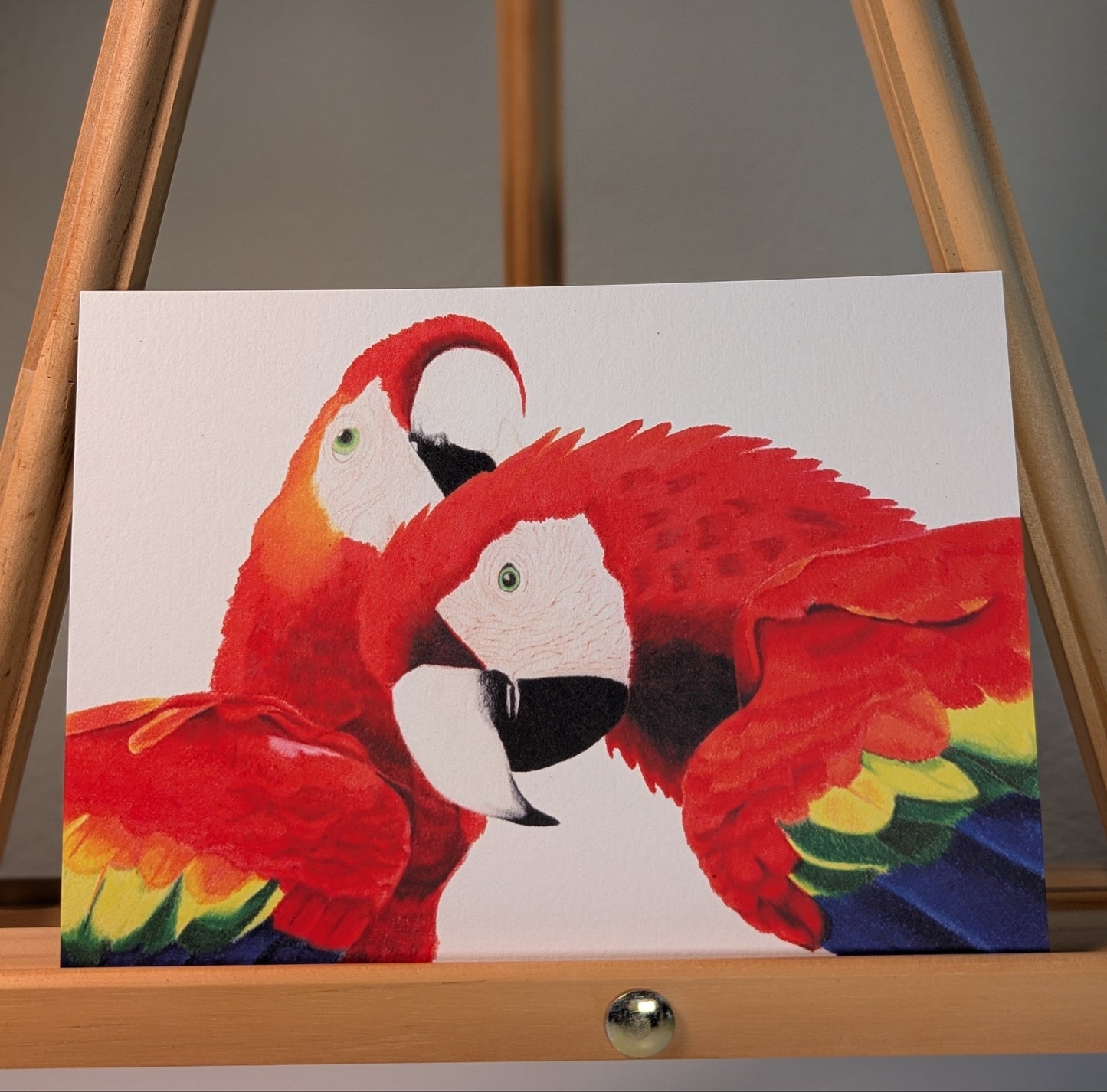 Print of two scarlet macaws
