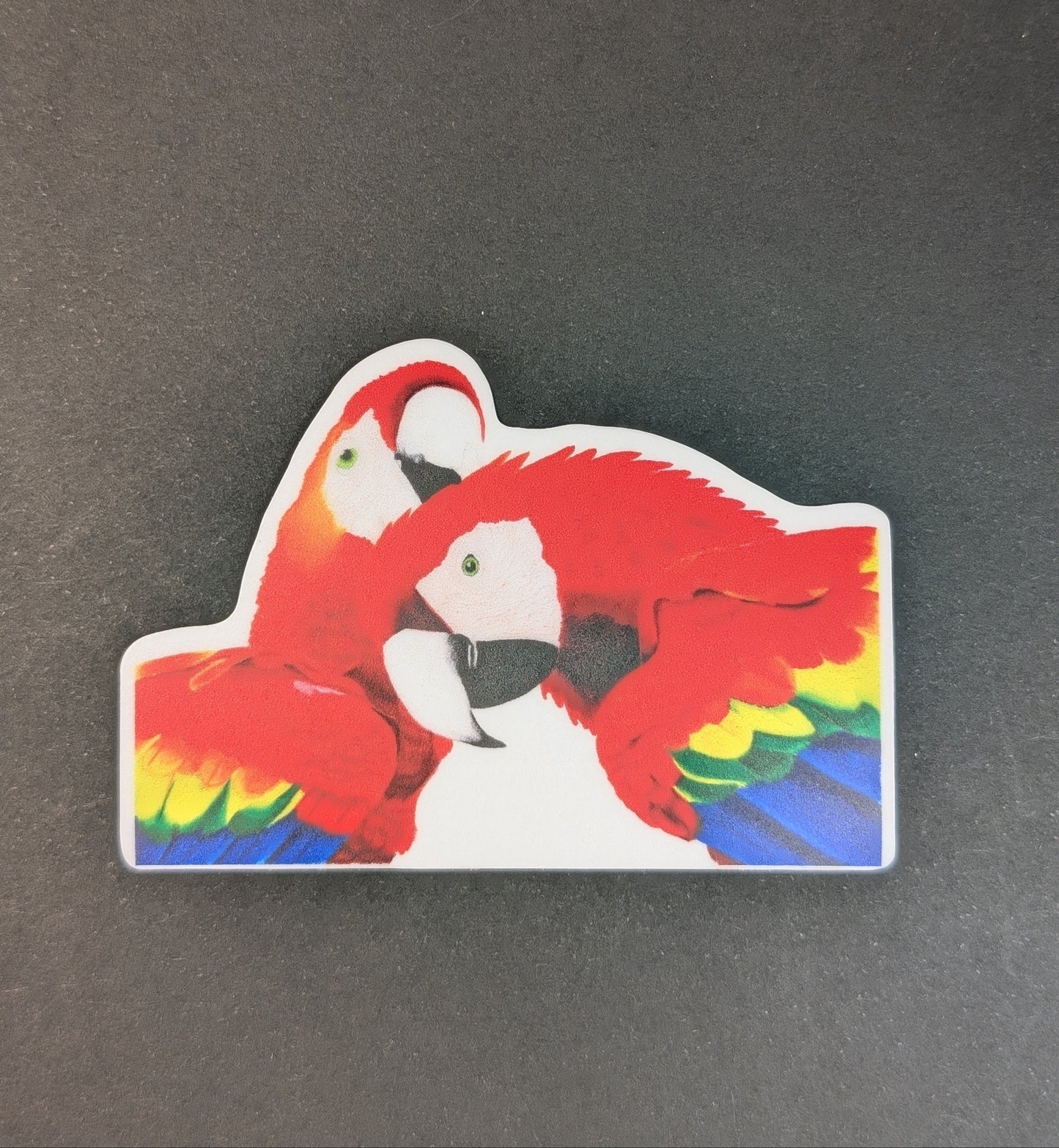 Scarlet macaw sticker on a black background