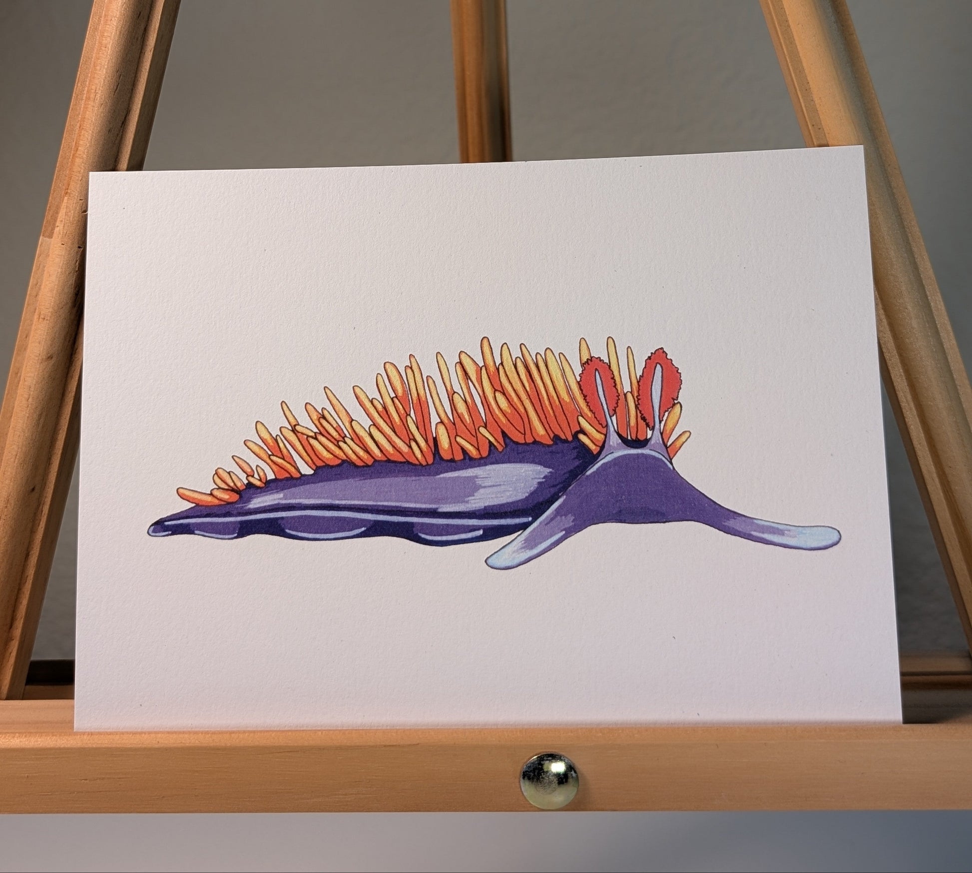 Print of a Spanish shawl sea slug which is purple and orange
