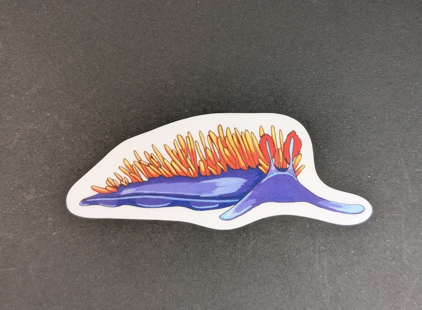 Colorful sea slug sticker on dark background