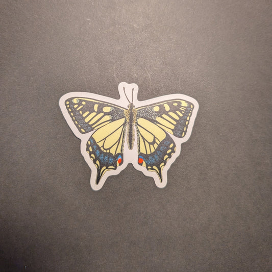 Swallowtail butterfly sticker on black background