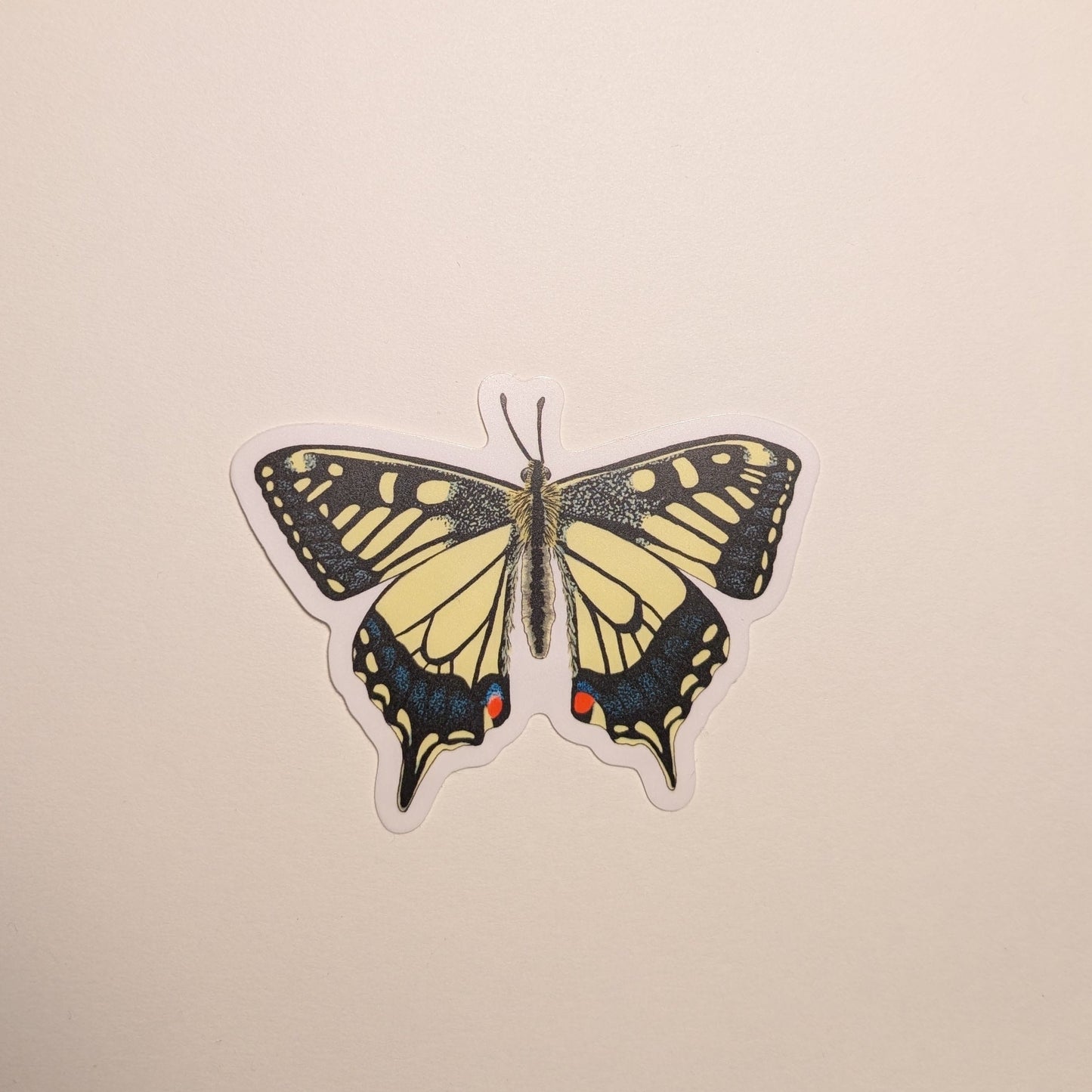 Swallowtail butterfly sticker on white background