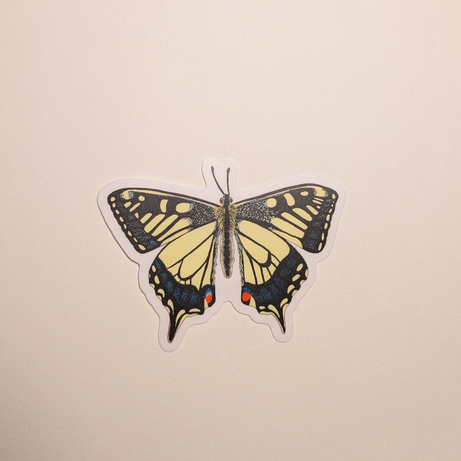 Swallowtail butterfly sticker on white background