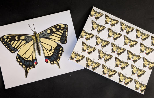 Two 4x6 cards on a black background. One card has a solo swallowtail butterfly on the front. The second card has a repeating pattern of swallowtail butterflies across the front.
