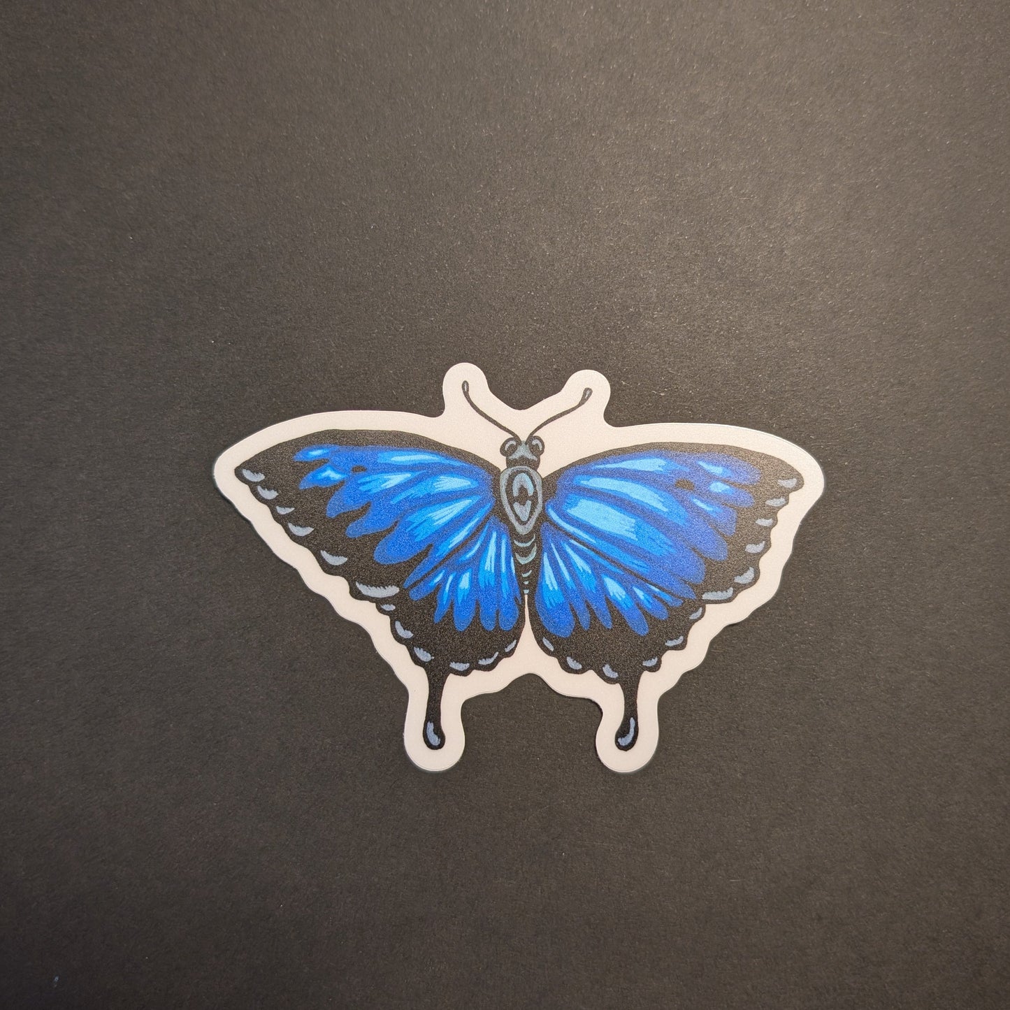 Ulysses butterfly sticker on black background