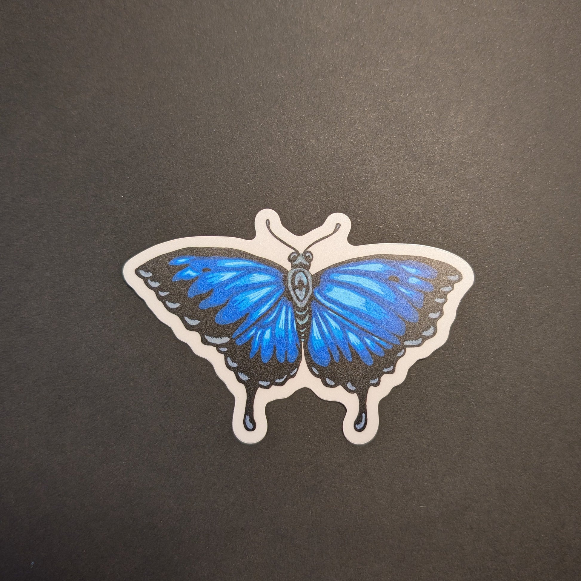 Ulysses butterfly sticker on black background