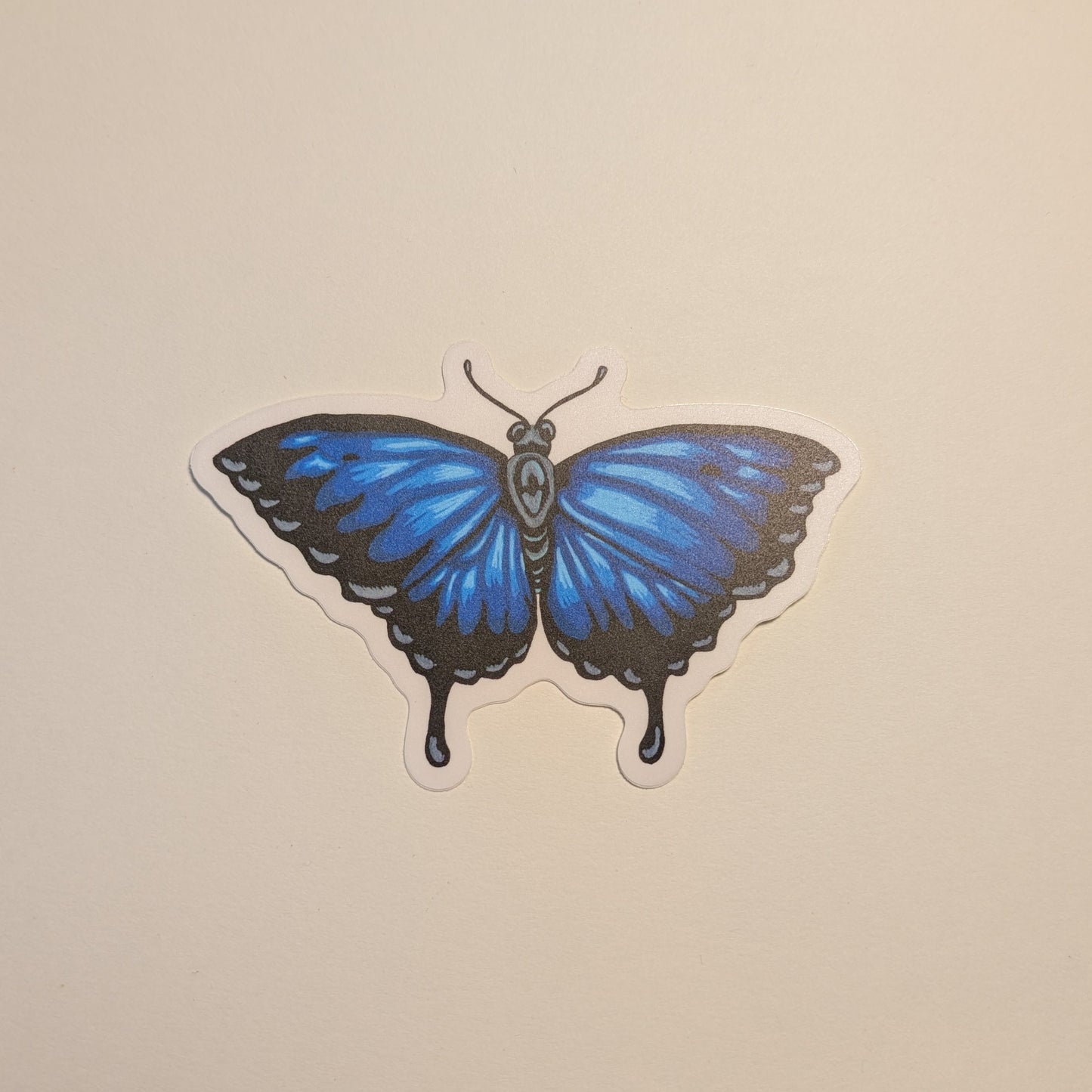 Ulysses butterfly sticker on white background