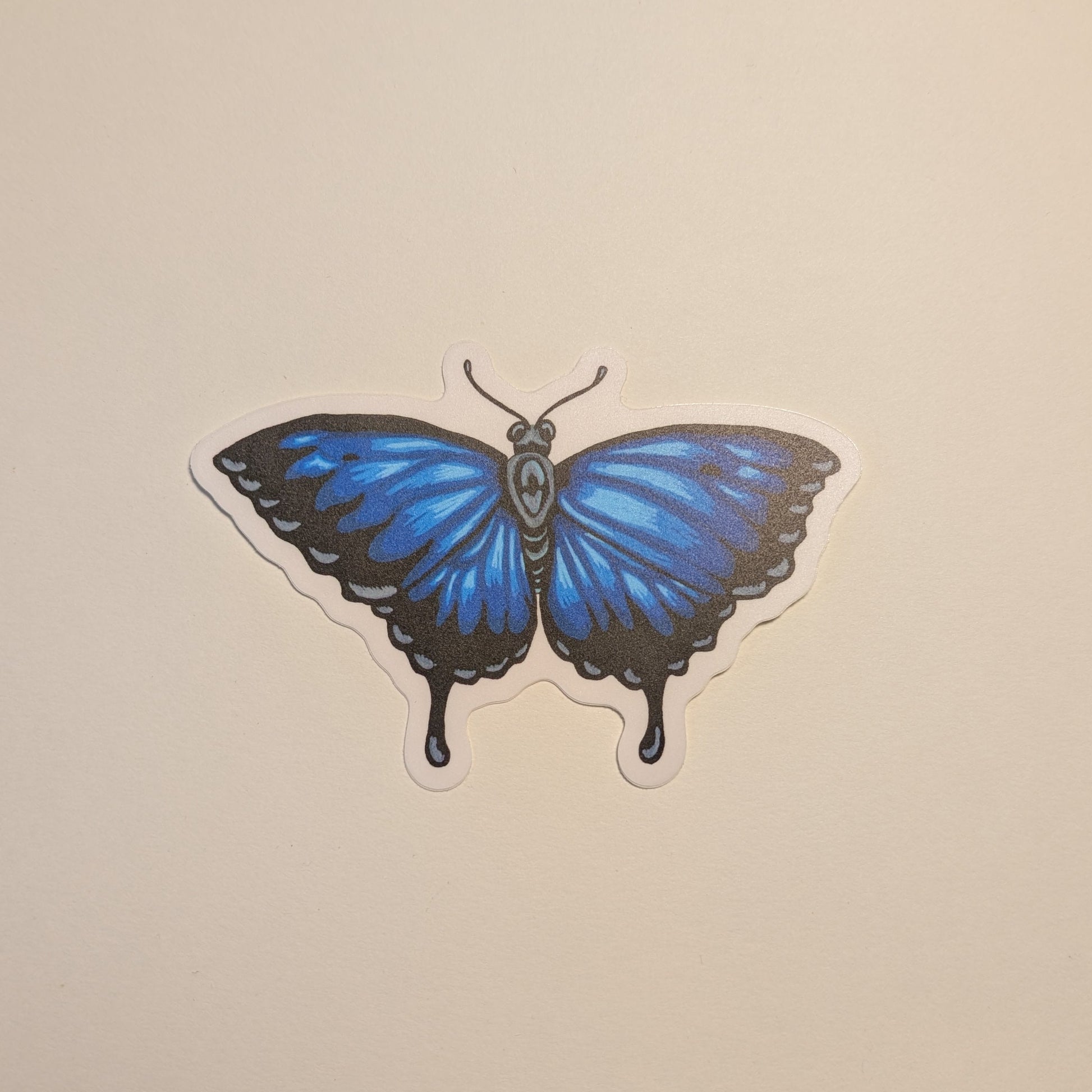 Ulysses butterfly sticker on white background